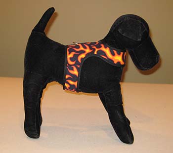 Dog Harness on Model